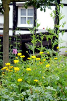 Bauerngarten am Heimathaus
