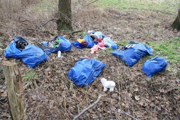 Müllsäcke im Wald
