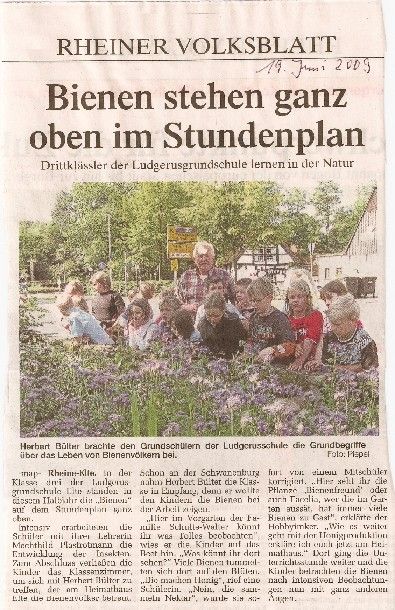 MV-Artikel 19.06.2009