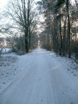 Straße im Winter
